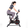 Intelligent Mini Heimtrainer Spin Magnetic Gym Indoor Exercise Fit Bike Spinning Bike