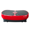 New Products Crazy Fit Massage Vertical Rhythm Up And Down Vibration Plate Machine